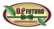 Futuro190x120