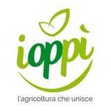 nome OP associata